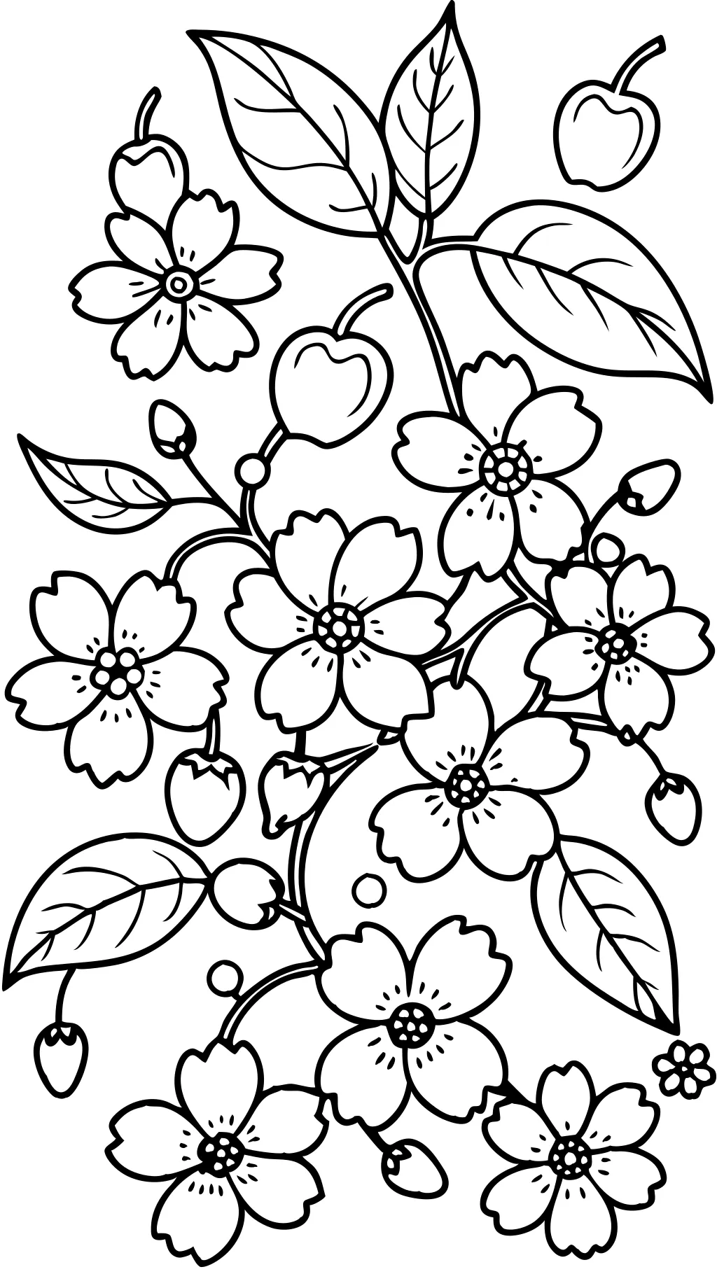 coloriage de cerise